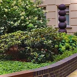 Prenzlauer Berg, Cozy Ground Floor Appartement