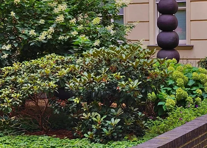 Prenzlauer Berg, Cozy Ground Floor Apartament