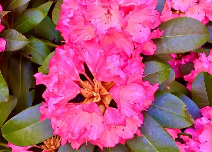 Prenzlauer Berg, Cozy Ground Floor Apartamento Berlín